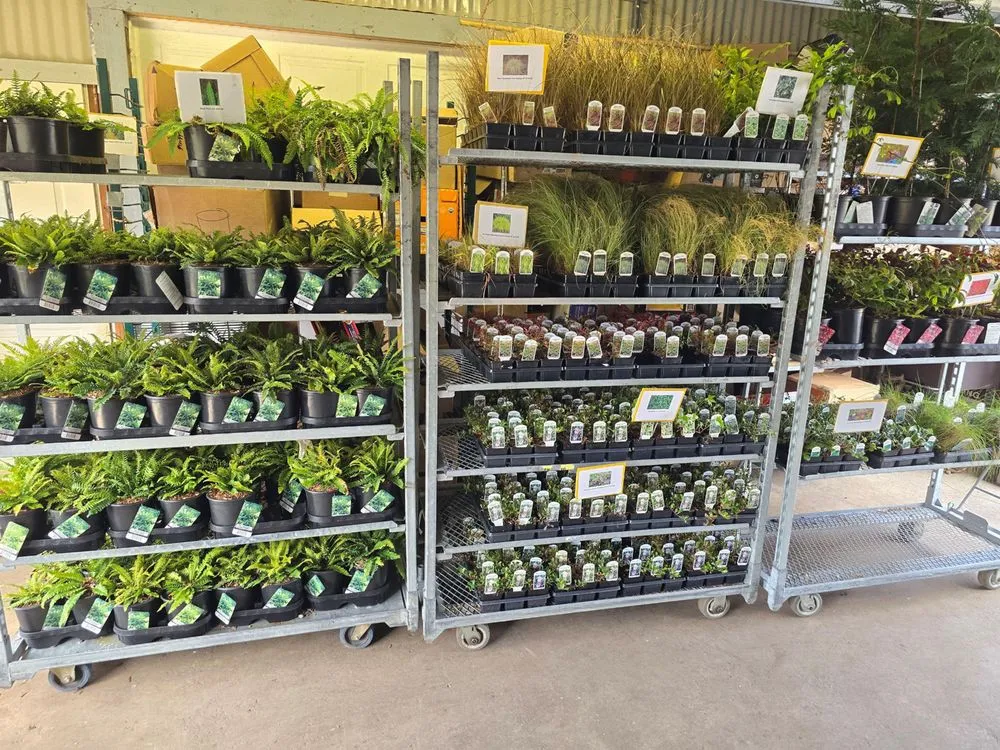 Custom landscape design in Tukwila, WA by Rosso Gardens