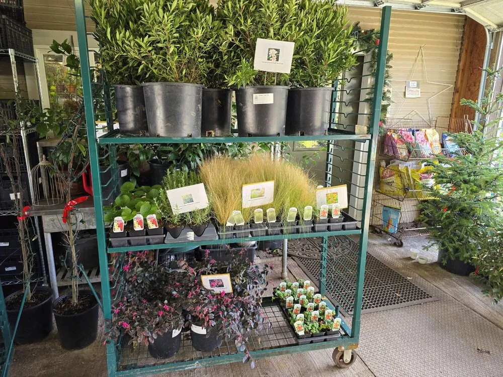 Reliable lawn mowing service experts serving Tukwila, WA - Rosso Gardens