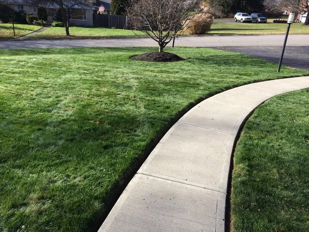 Local yard cleanup service experts serving Cranberry Township, PA - Rostan LawnCare