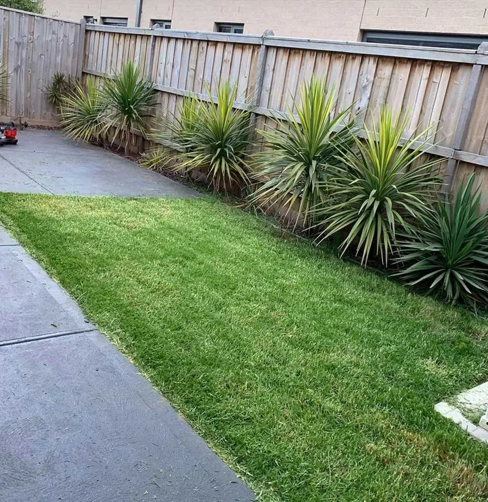 Top-rated lawn care service for beautiful yards in Atlanta, GA by Roswell Lawn Care
