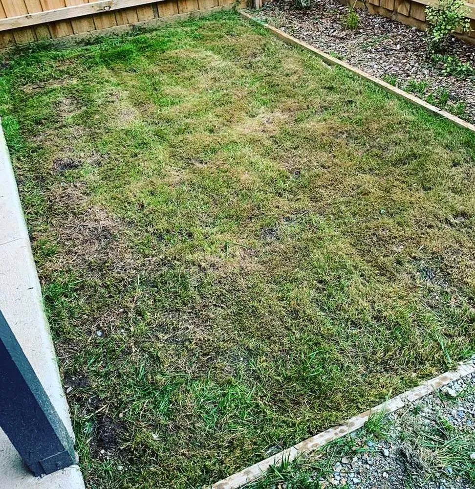 Custom lawn care service near you in Atlanta, GA by Roswell Lawn Care