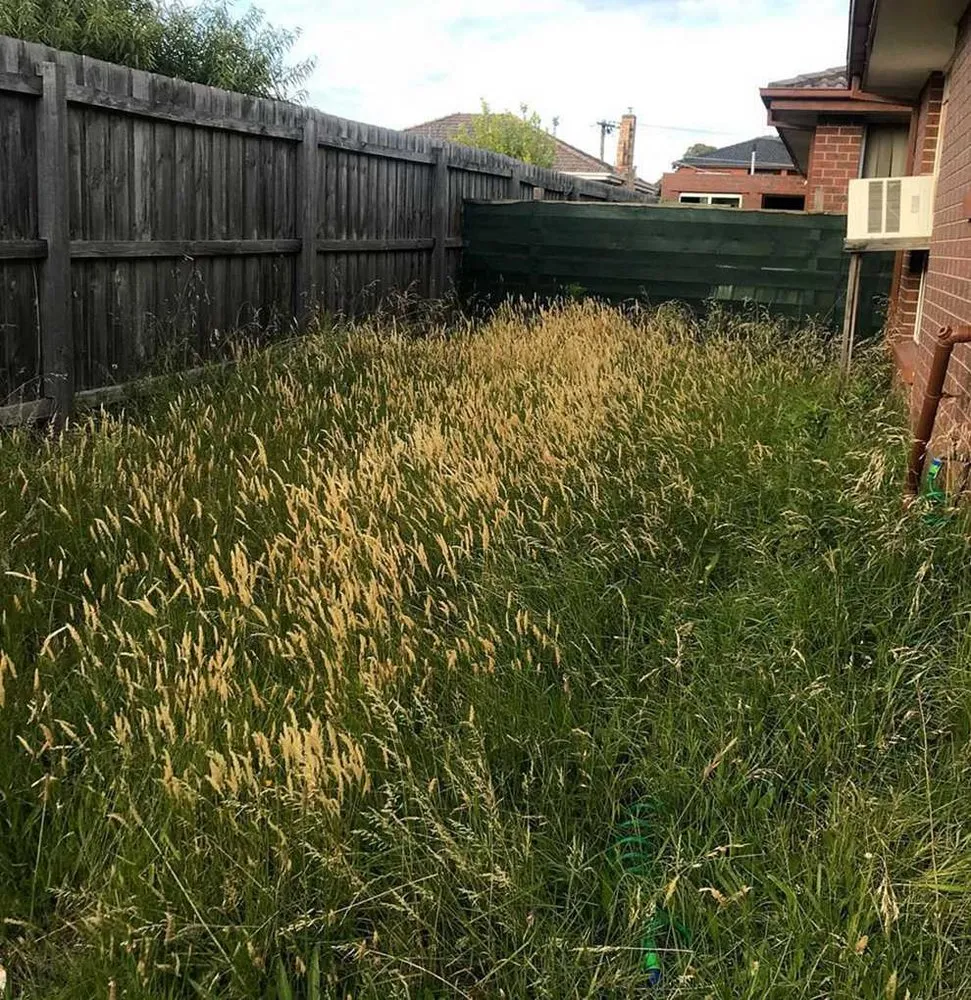 Custom yard maintenance for residential properties across Atlanta, GA - Roswell Lawn Care