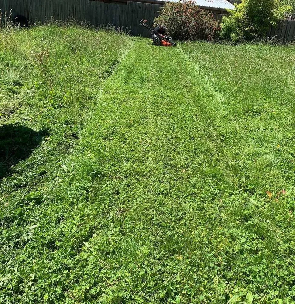 Local lawn care service in Atlanta, GA by Roswell Lawn Care