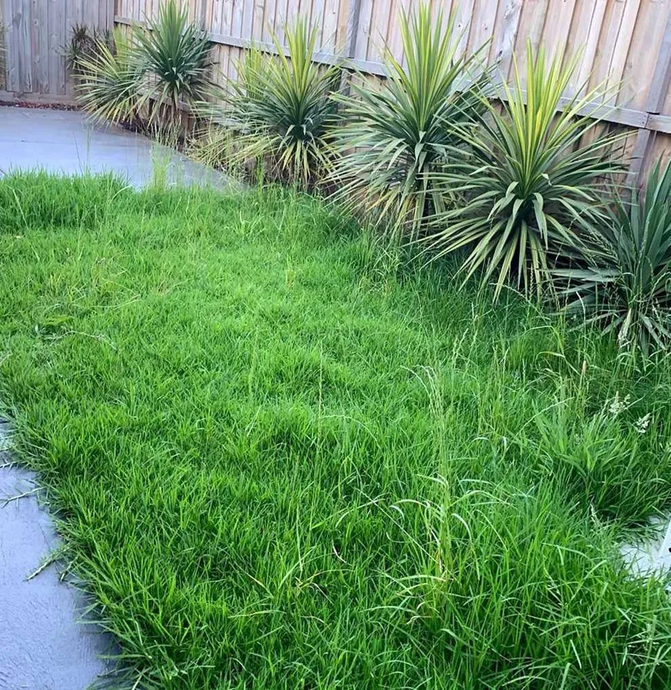 Custom yard maintenance with custom design across Atlanta, GA - Roswell Lawn Care