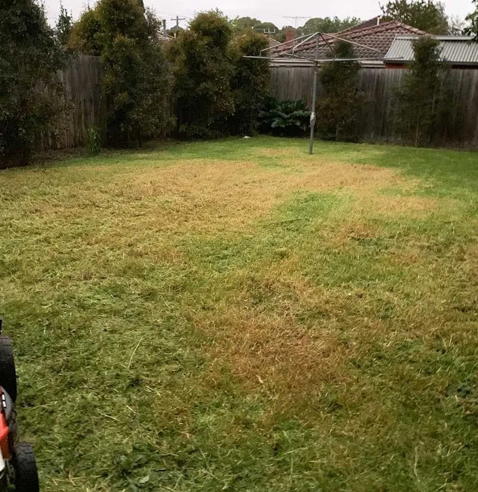 Affordable yard maintenance for outdoor upgrades in Atlanta, GA by Roswell Lawn Care