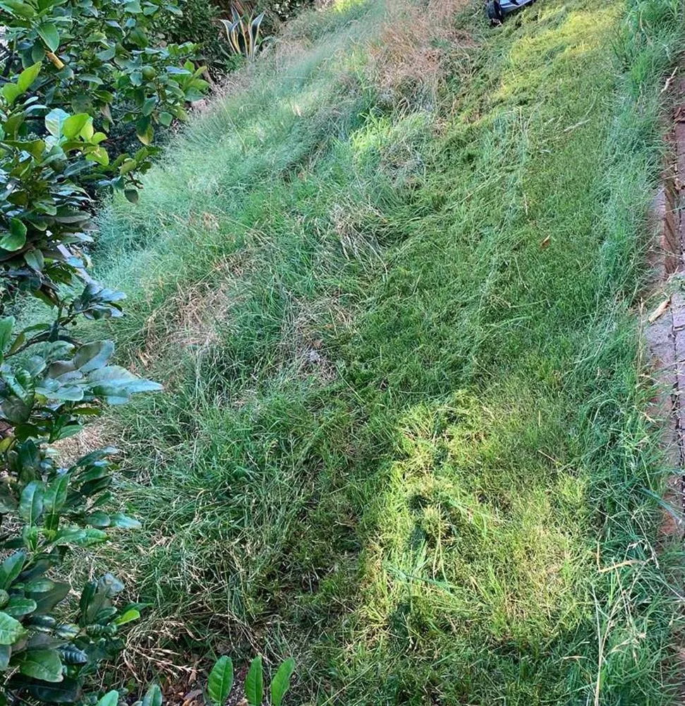 Trusted lawn mowing service in Atlanta, GA by Roswell Lawn Care