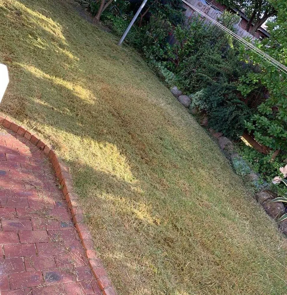 Expert lawn care service in Atlanta, GA - Roswell Lawn Care