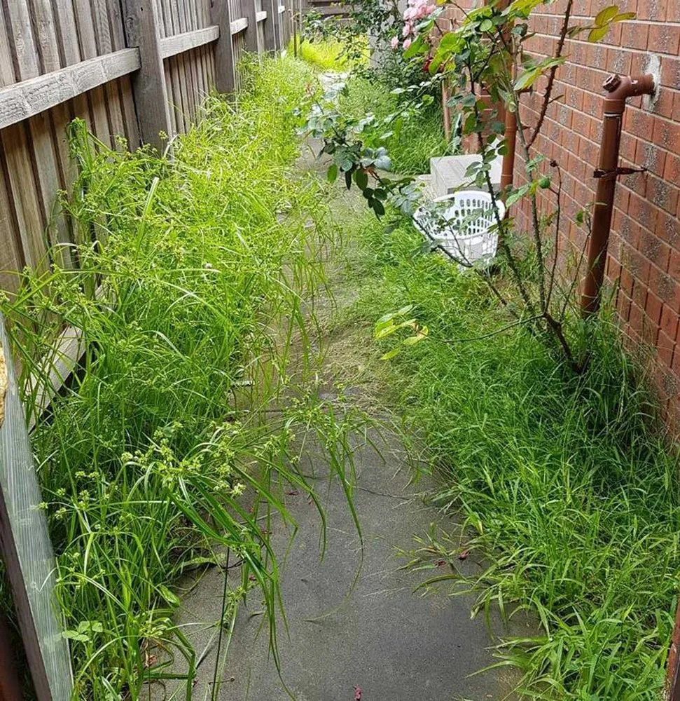 Reliable landscape installation in Atlanta, GA - Roswell Lawn Care