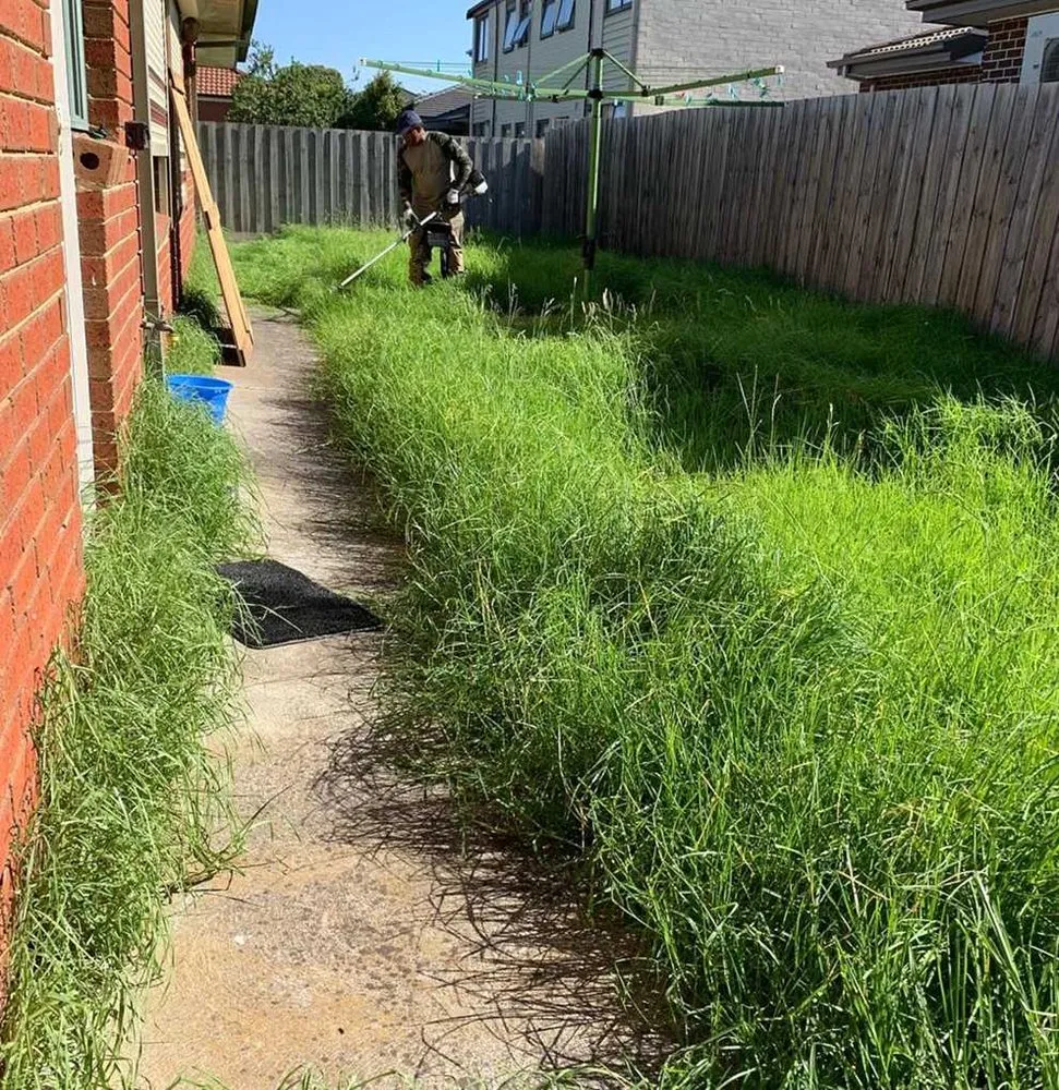 Trusted residential landscaping with custom design across Atlanta, GA - Roswell Lawn Care