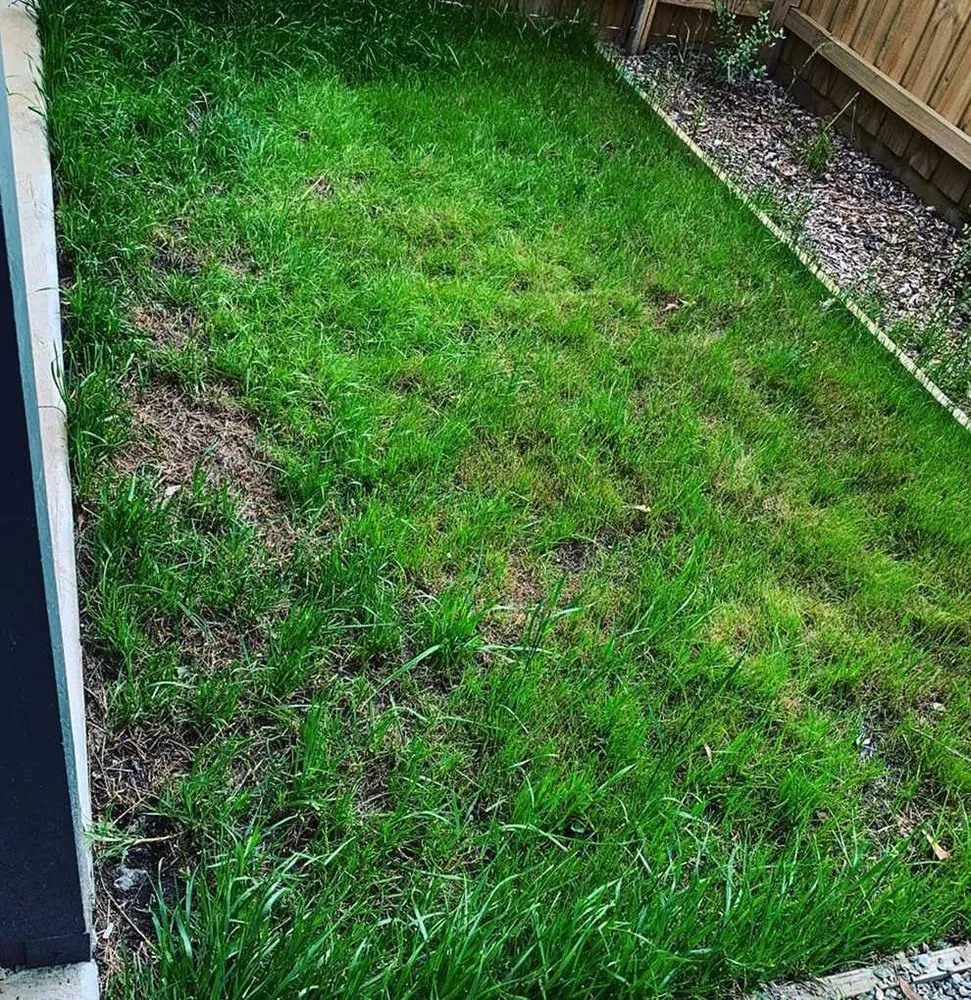 Affordable landscape installation near you in Atlanta, GA by Roswell Lawn Care