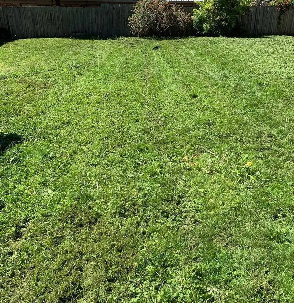 Affordable residential landscaping in Atlanta, GA - Roswell Lawn Care