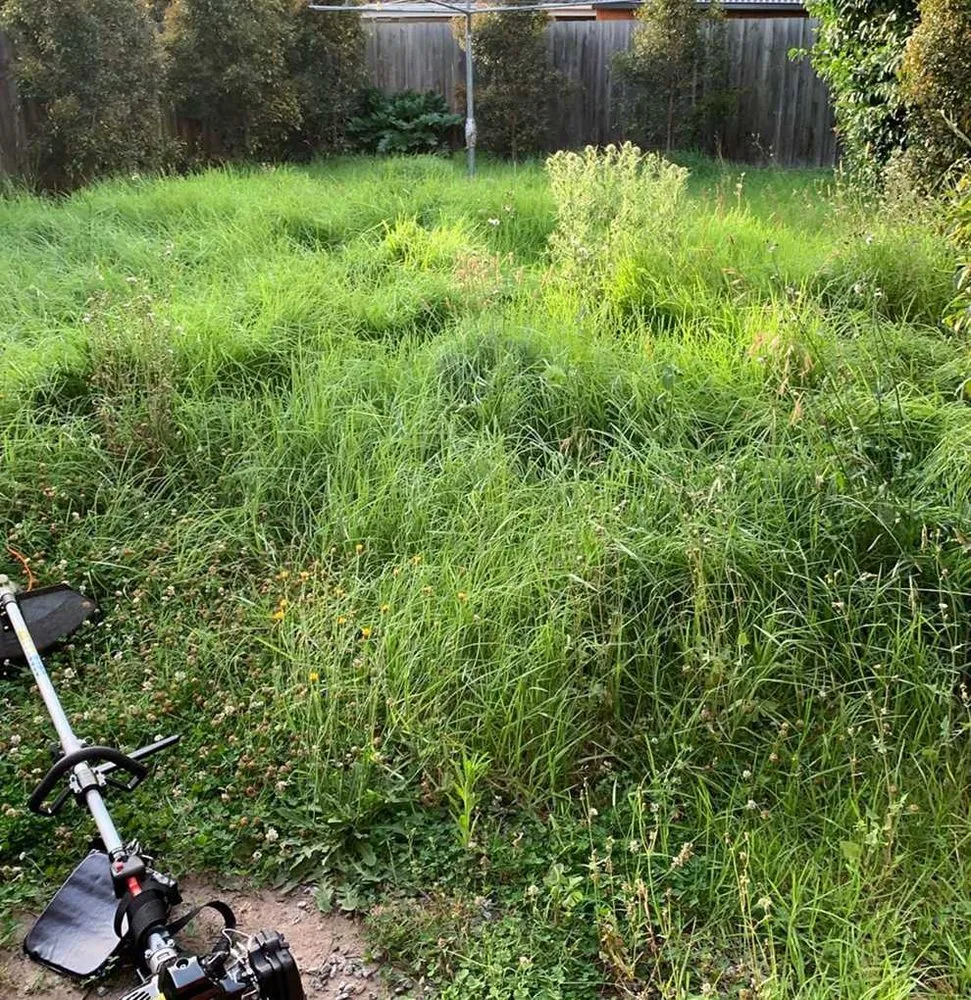 Professional garden landscaping experts serving Atlanta, GA - Roswell Lawn Care