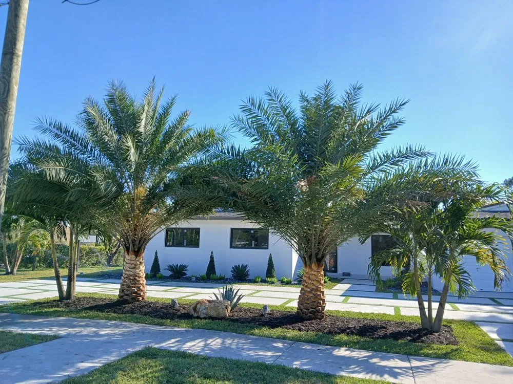 Top-rated landscape design in Miami Lakes, FL by Rosy Landscaping And Nursery