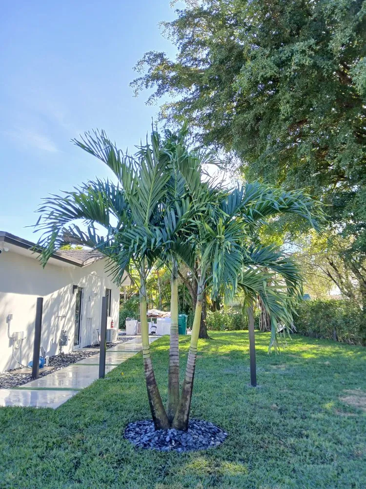 Professional garden landscaping in Miami Lakes, FL - Rosy Landscaping And Nursery