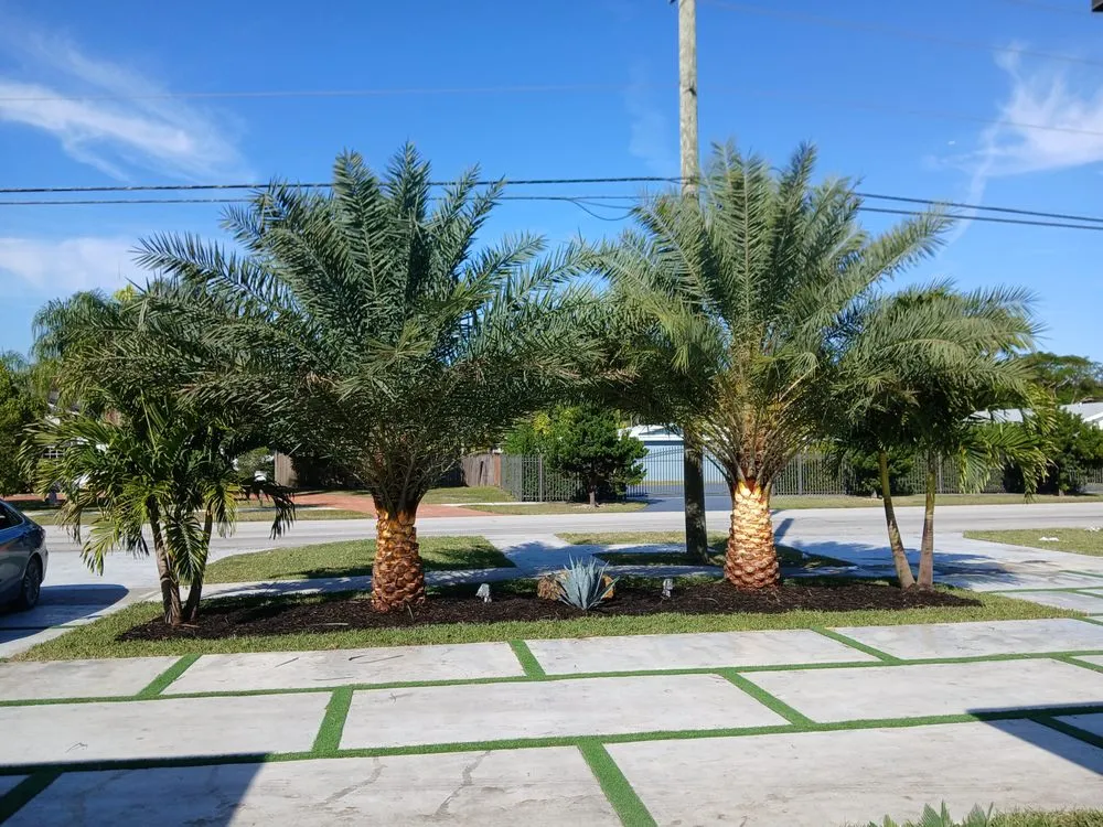 Expert garden landscaping near you in Miami Lakes, FL by Rosy Landscaping And Nursery