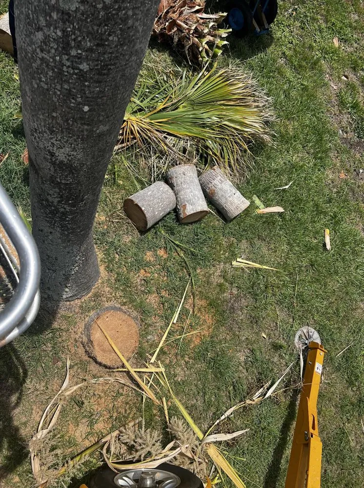 Affordable yard cleanup service for homes in Orlando, FL by Rotary Blade Lawn Care