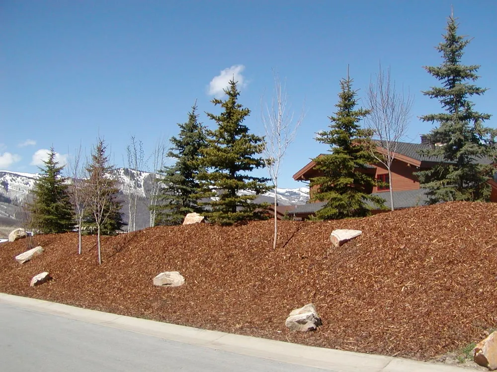Local landscape design for beautiful yards in Draper, UT by Roth Landscape Services