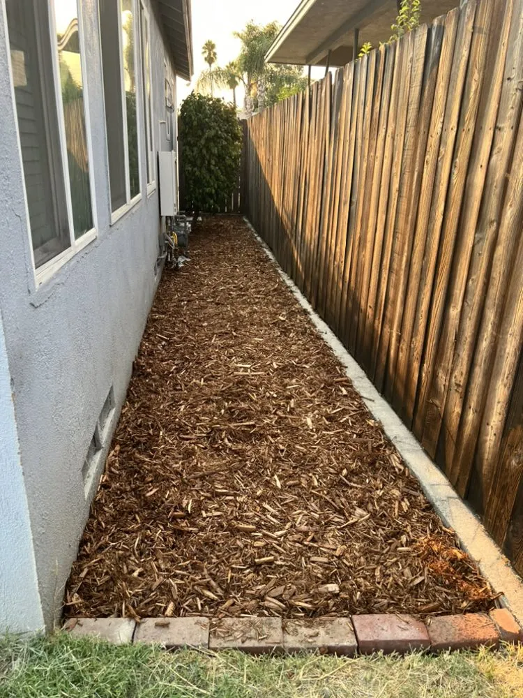 Trusted yard maintenance in Devore Heights, CA - Roth Landscaping