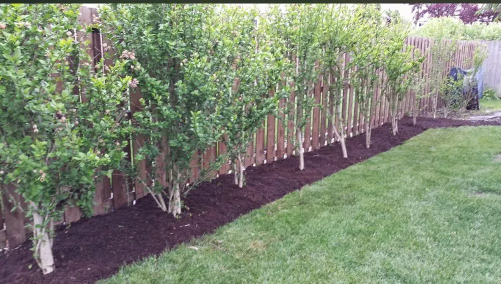 Local garden landscaping in Devore Heights, CA by Roth Landscaping