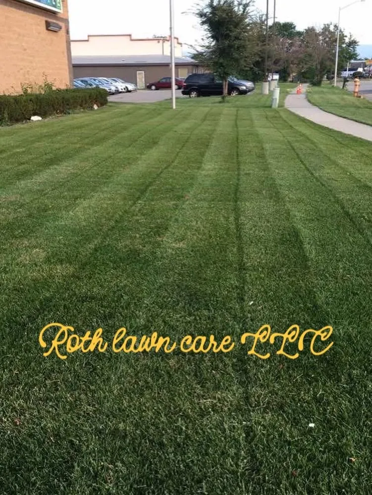 Expert landscaping services for beautiful yards in Janesville, WI by Roth Lawn Care