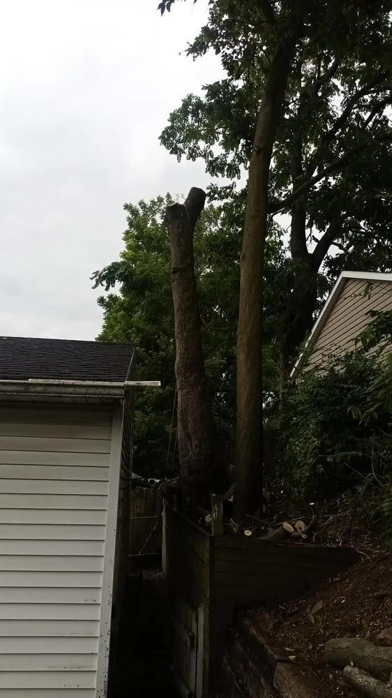 Local lawn care service in Springfield, OH - Rothgeb's Property maintenance