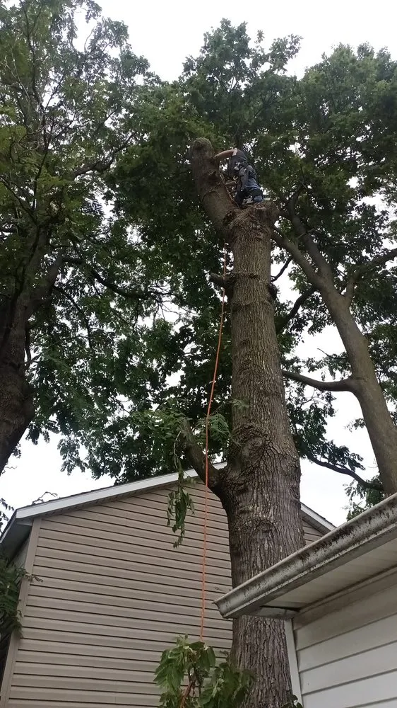 Top-rated landscape design near you across Springfield, OH - Rothgeb's Property maintenance