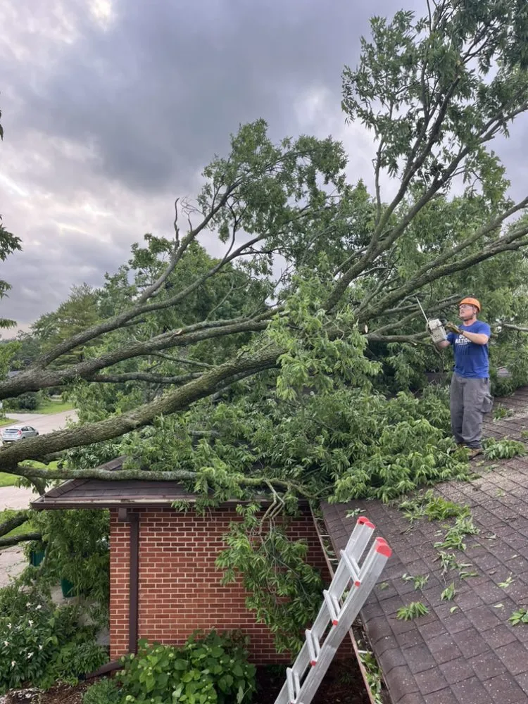 Local garden landscaping for beautiful yards in Des Moines, IA by Rothman Tree Service