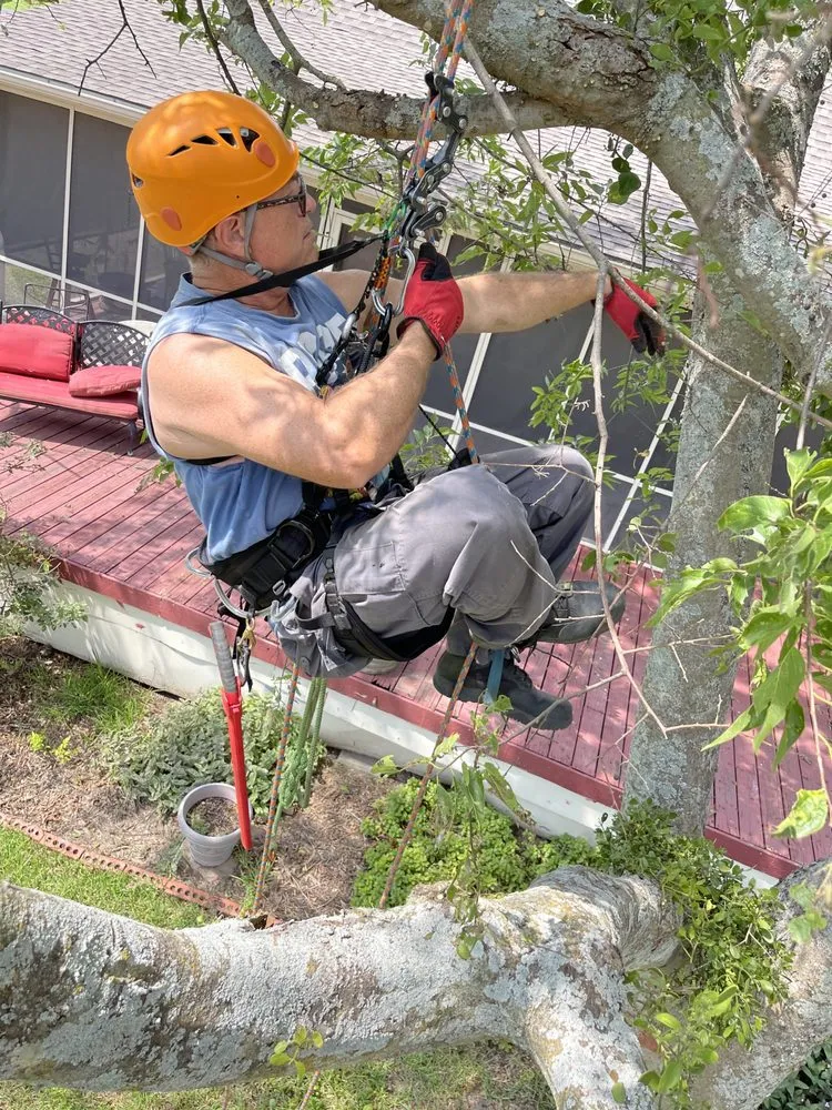 Local landscape design experts serving Des Moines, IA - Rothman Tree Service