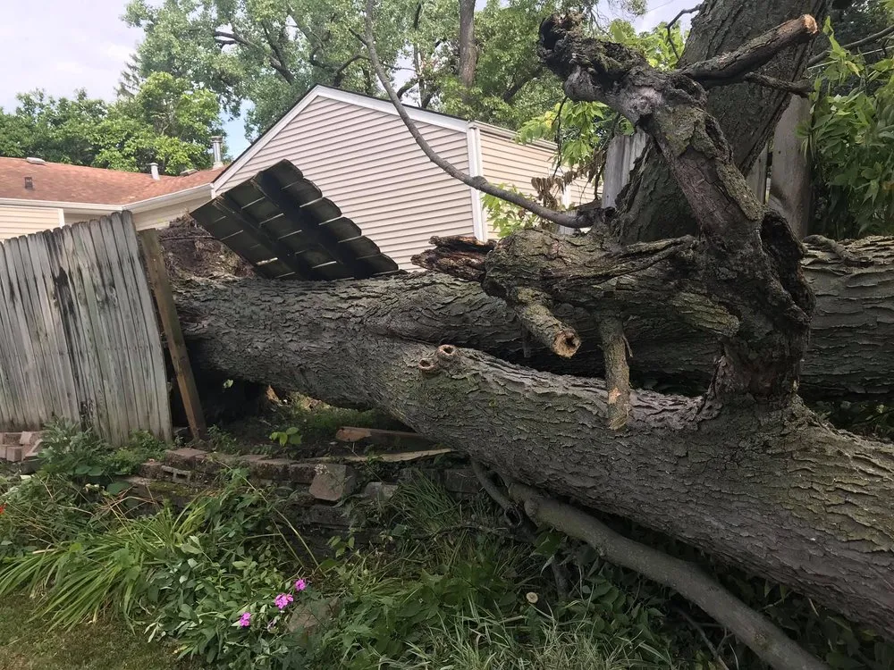 Top-rated landscaping services for year-round maintenance in Des Moines, IA by Rothman Tree Service