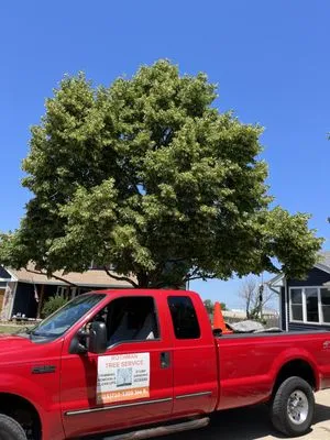 Rothman Tree Service Logo