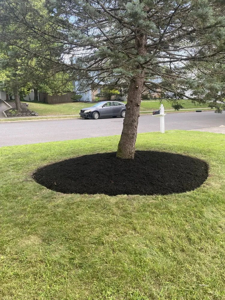Professional lawn care service in Howell Township, NJ by Rotman's Landscaping