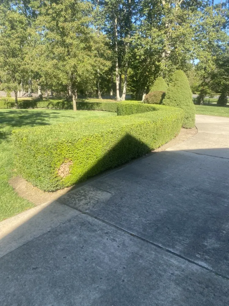 Reliable landscaping services in Howell Township, NJ - Rotman's Landscaping