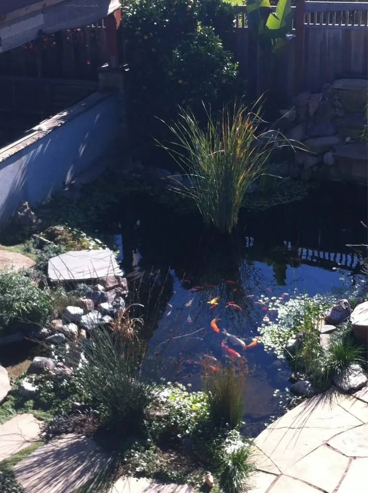Affordable landscape design for residential properties in Campbell, CA by Rotondo Landscape