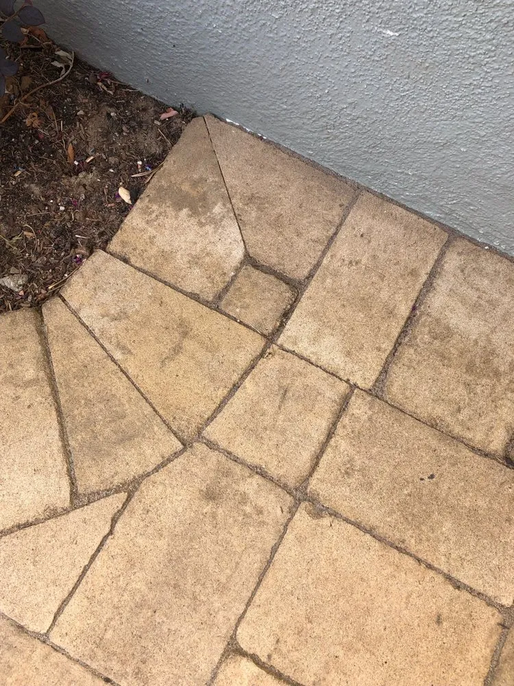 Local garden landscaping for year-round maintenance in Campbell, CA by Rotondo Landscape