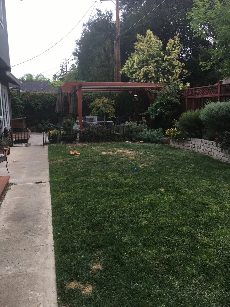 Reliable landscape design in Campbell, CA - Rotondo Landscape