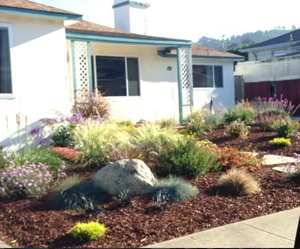 Affordable yard cleanup service experts serving Campbell, CA - Rotondo Landscape