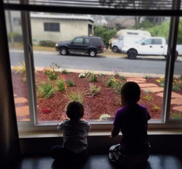 Expert landscape installation in Campbell, CA by Rotondo Landscape