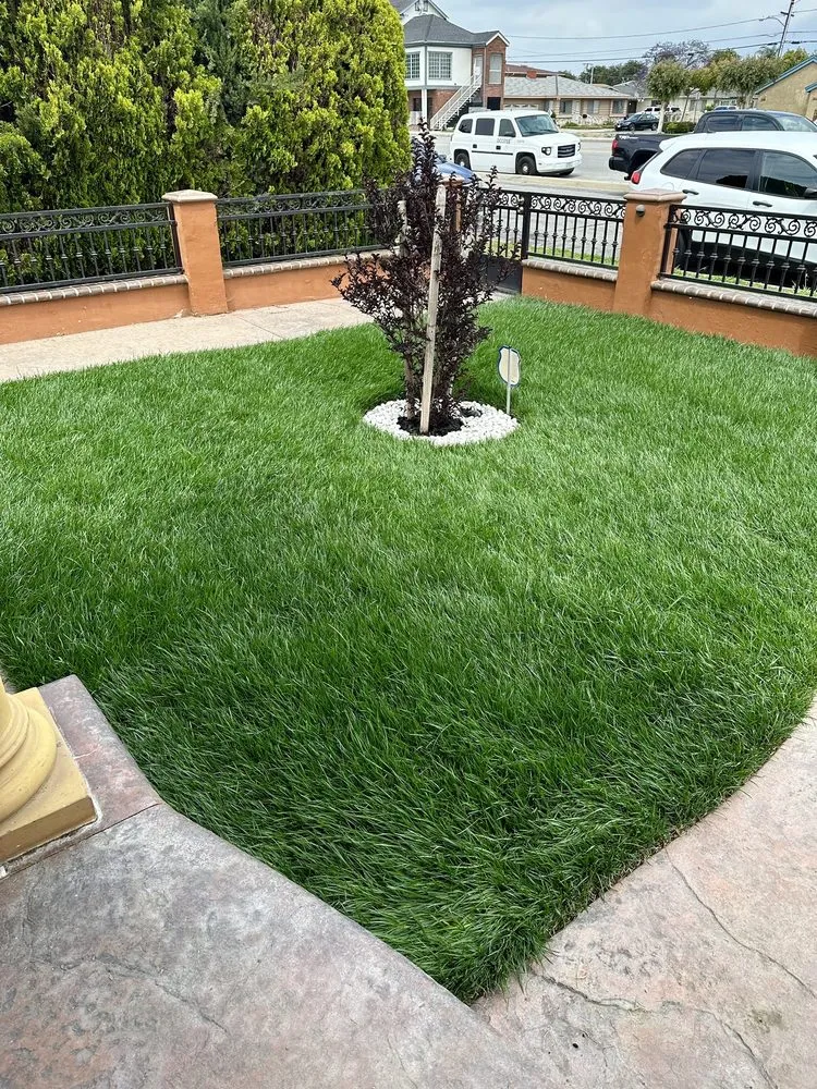 Trusted landscaping services in El Monte, CA - RotoTillerGuy