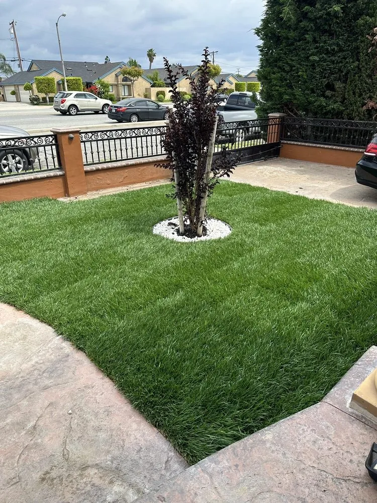 Top-rated lawn care service in El Monte, CA - RotoTillerGuy