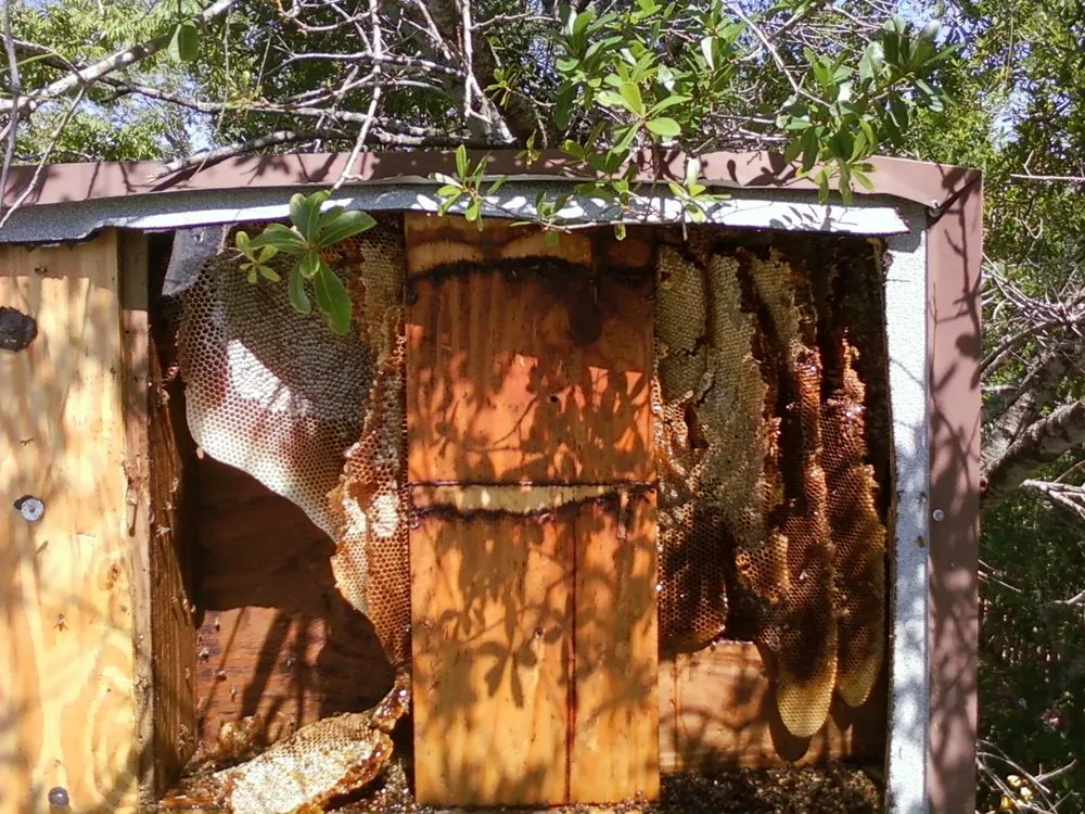 Local residential landscaping for residential properties across El Monte, CA - RotoTillerGuy