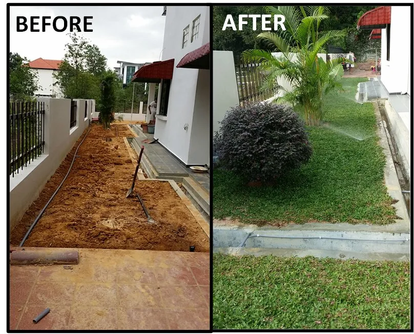 Affordable landscaping services for beautiful yards across Long Beach, CA - RototillerGuy