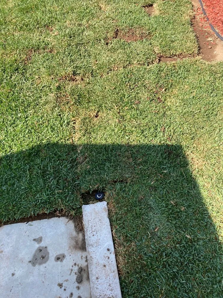 Top-rated landscaping services experts serving Los Angeles, CA - RotoTillerGuy