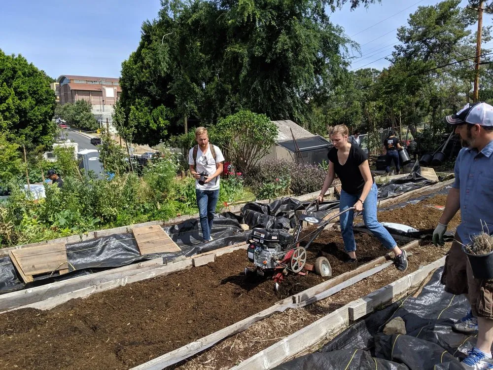 Expert outdoor landscaping in Los Angeles, CA by RotoTillerGuy