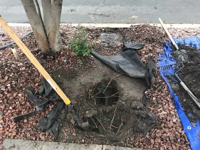 Affordable garden landscaping for year-round maintenance in Los Angeles, CA by RotoTillerGuy