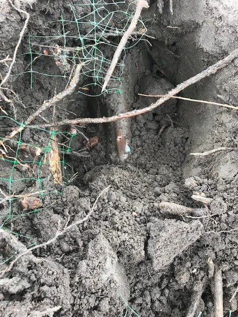 Top-rated landscaping services experts serving Los Angeles, CA - RotoTillerGuy