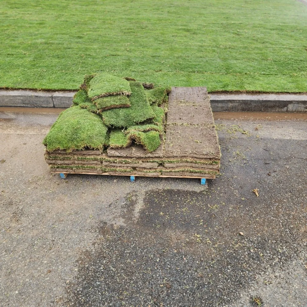 Reliable yard cleanup service experts serving North Hollywood, CA - RotoTillerGuy