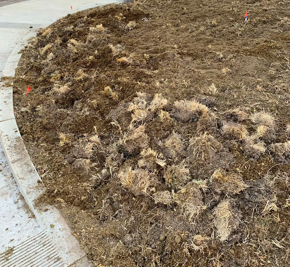 Reliable lawn mowing service for residential properties across North Hollywood, CA - RotoTillerGuy