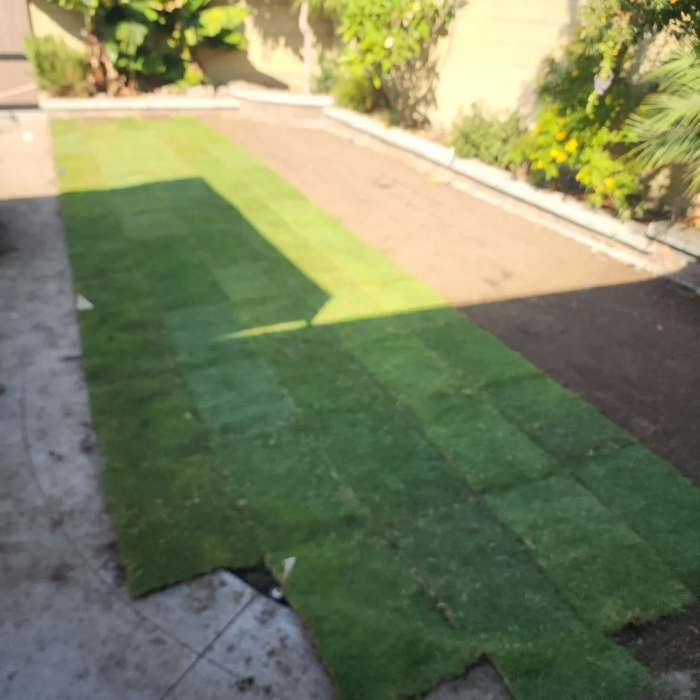 Top-rated yard maintenance experts serving North Hollywood, CA - RotoTillerGuy