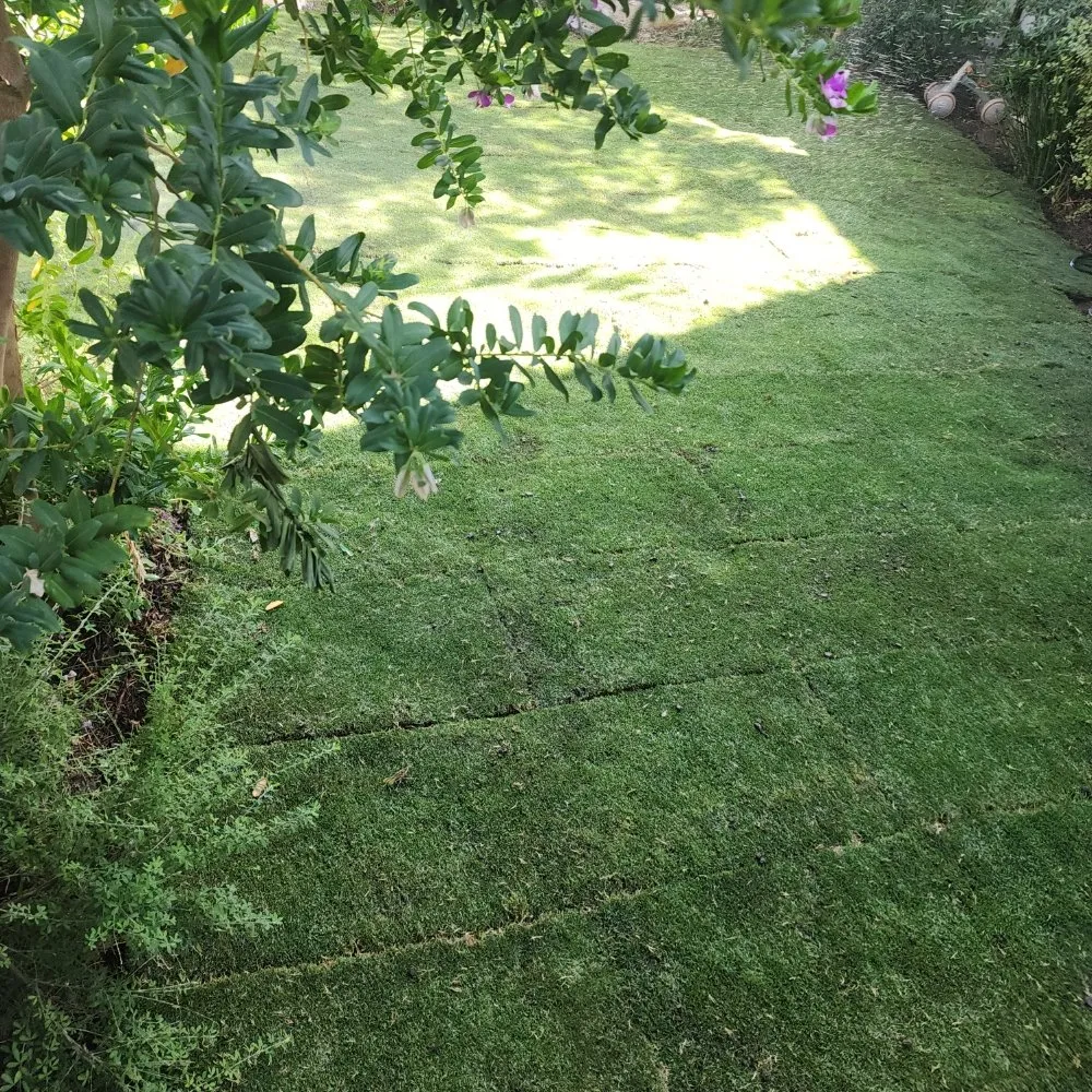 Custom residential landscaping for beautiful yards in North Hollywood, CA by RotoTillerGuy