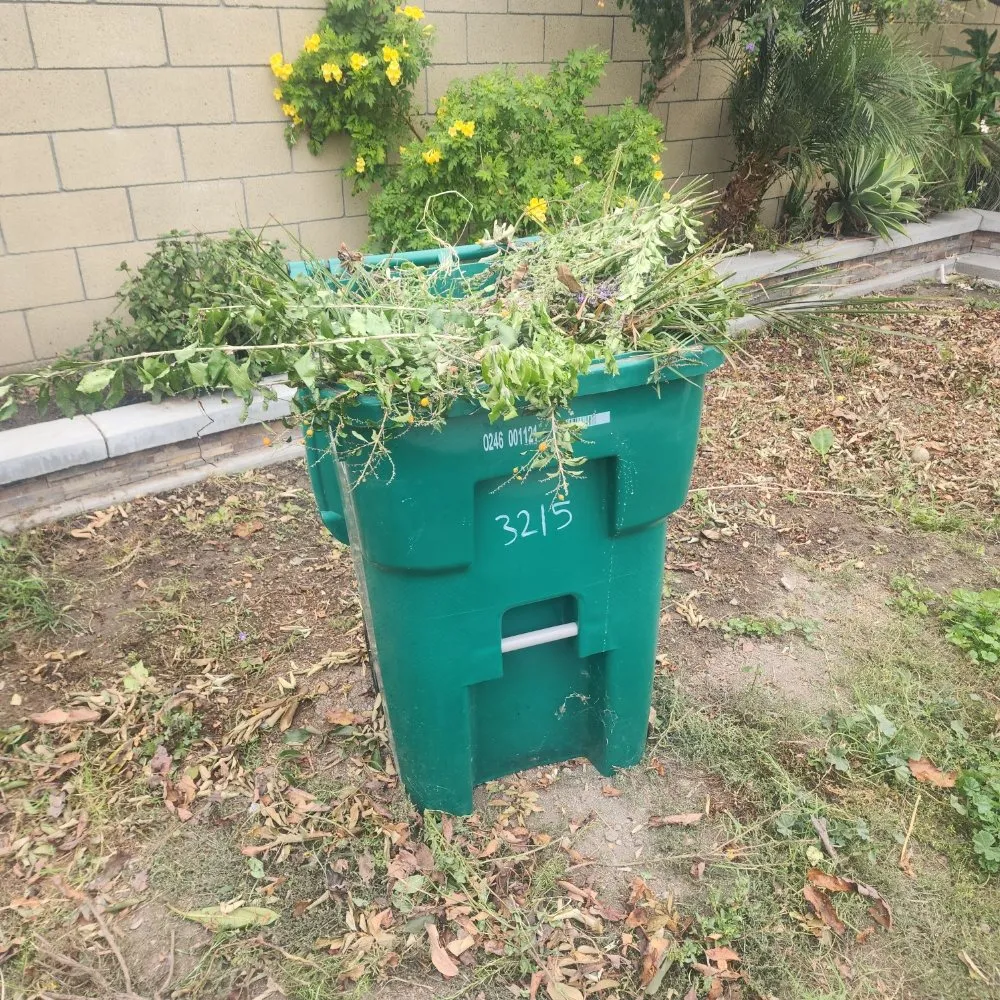 Affordable landscaping services experts serving North Hollywood, CA - RotoTillerGuy